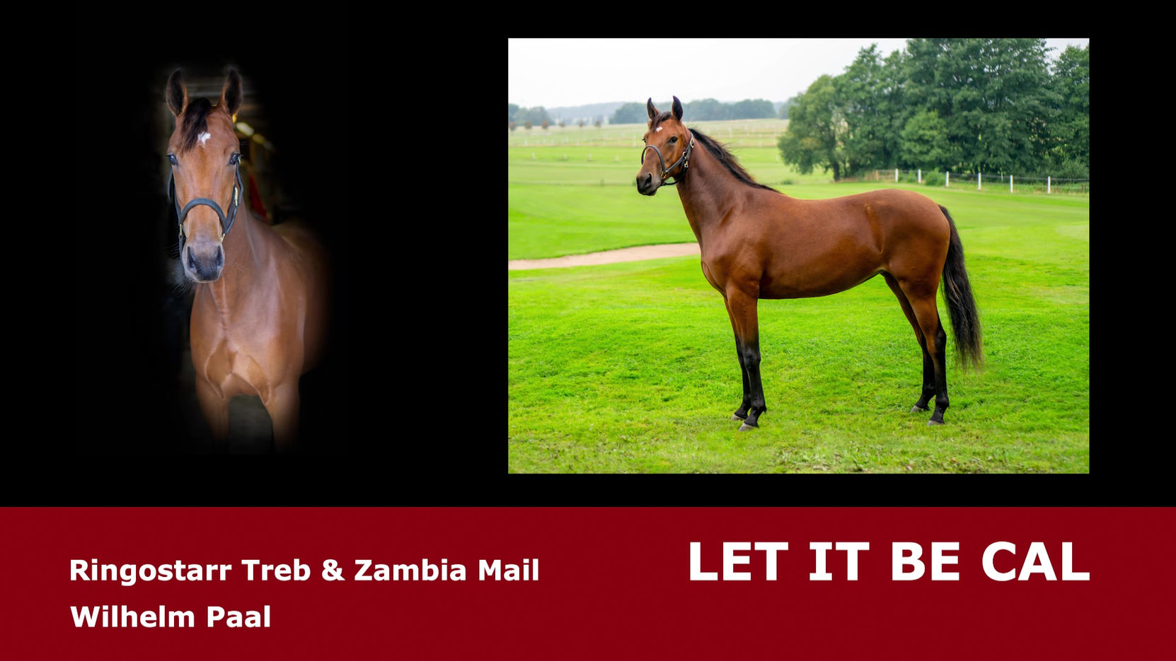 LET IT BE CAL - Wilhem Paal AB- Ringostarr Treb and Zambia Mail - Filmprod TravGaloppFilm 2021 XL